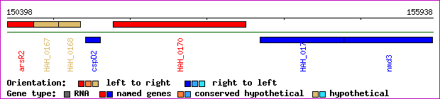 gene map