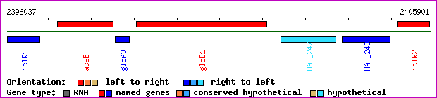 gene map