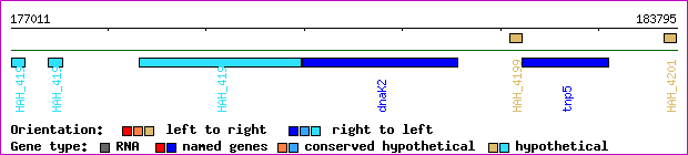 gene map