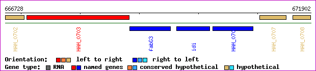 gene map