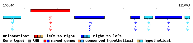 gene map