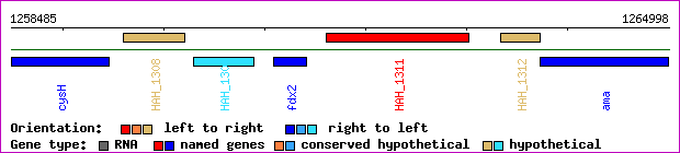 gene map