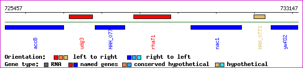 gene map