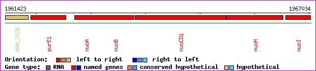 gene map