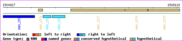 gene map