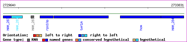 gene map