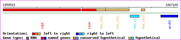 gene map
