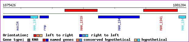 gene map