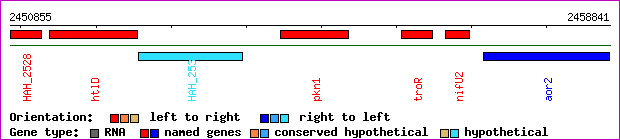 gene map
