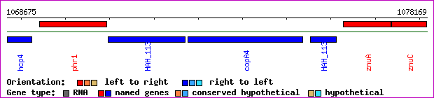 gene map