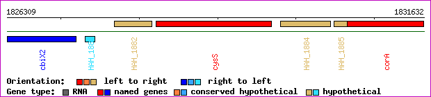 gene map