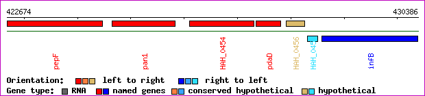 gene map