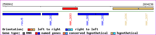 gene map
