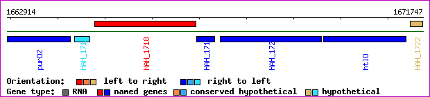 gene map