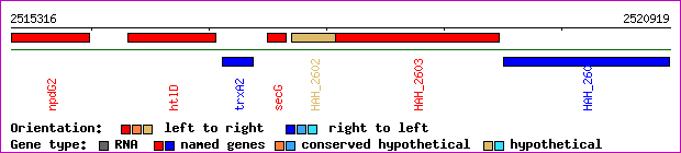 gene map