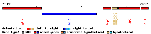 gene map