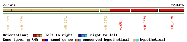 gene map