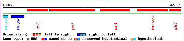 gene map