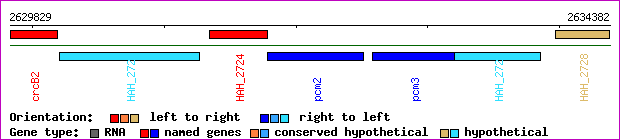 gene map