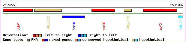 gene map