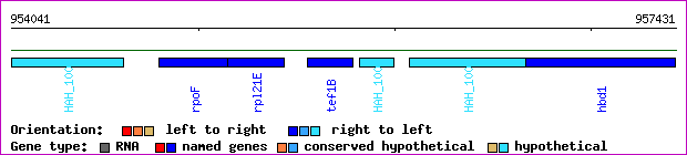 gene map