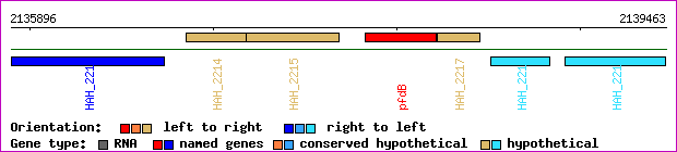 gene map