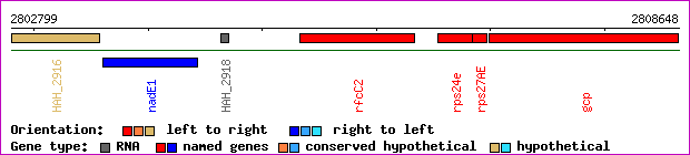 gene map