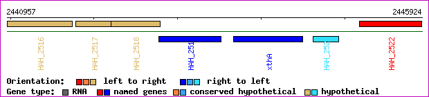 gene map
