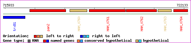 gene map