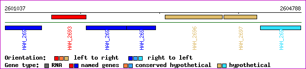 gene map