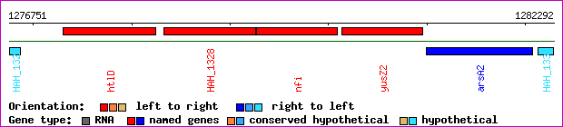 gene map