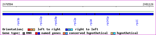 gene map