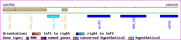 gene map