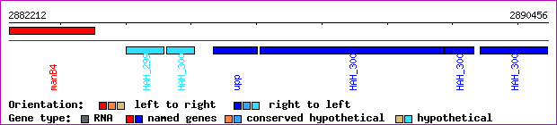 gene map