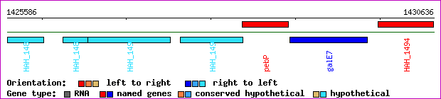 gene map