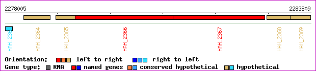 gene map