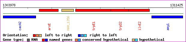 gene map