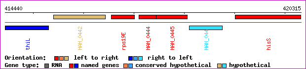 gene map