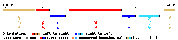 gene map