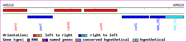gene map