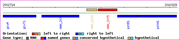 gene map