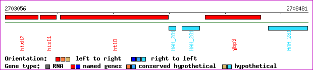 gene map