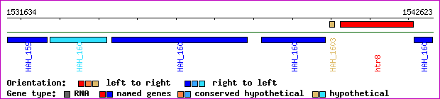 gene map