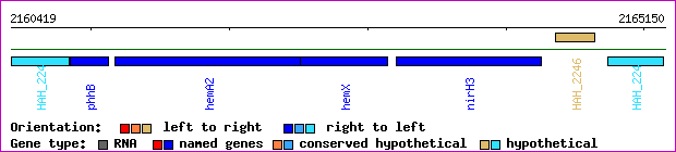 gene map