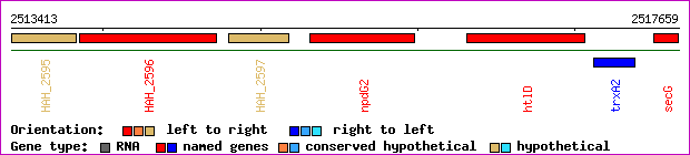 gene map