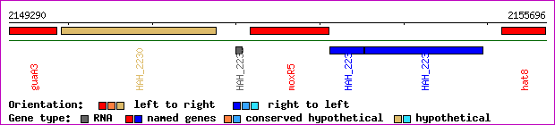 gene map