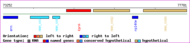 gene map