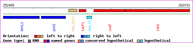 gene map