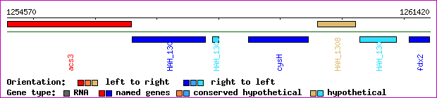 gene map