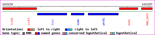 gene map